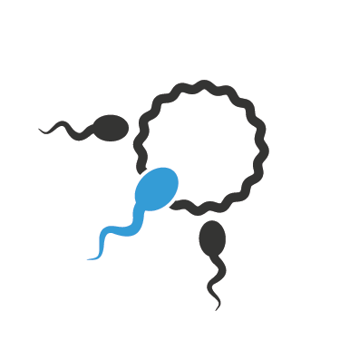 Fertility